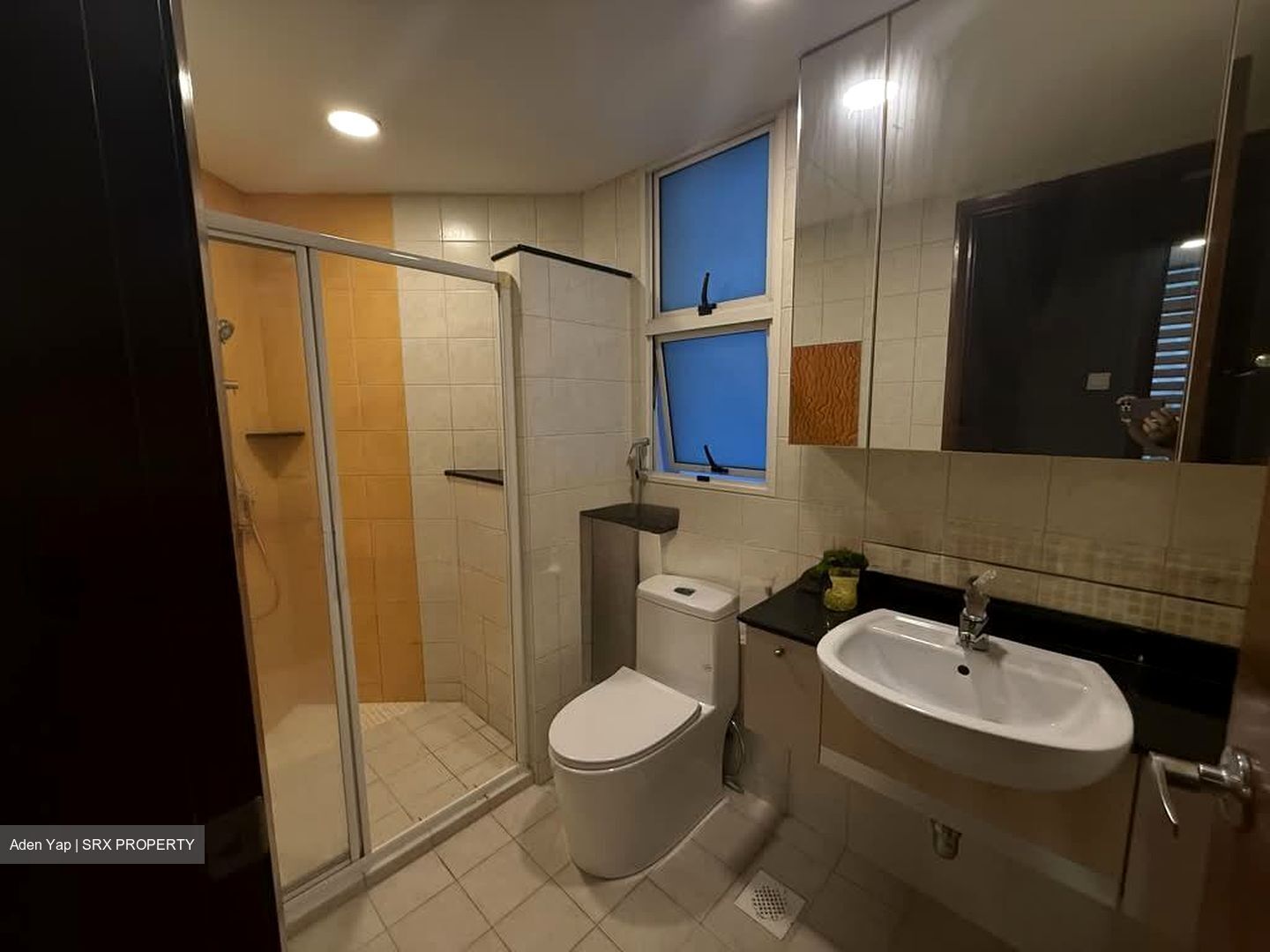 Compass Heights (D19), Apartment #537862141